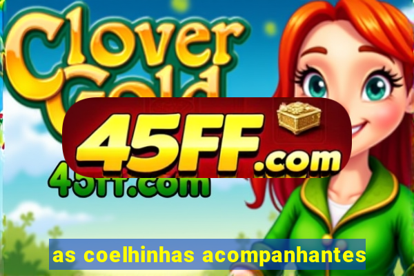 as coelhinhas acompanhantes